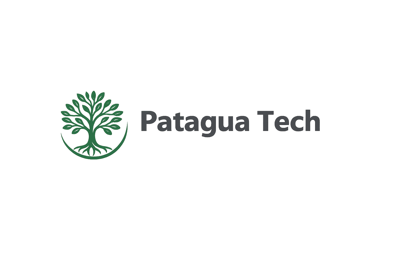 Patagua Tech